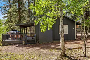 6 County Road 1007 --, Greer, AZ 85927 - Photo 10