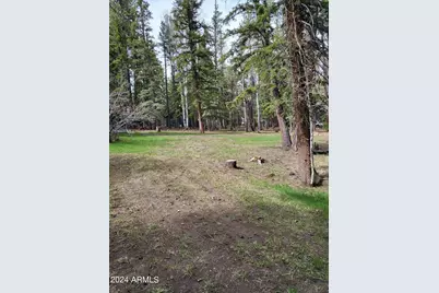 6 County Road 1007 -- #6, Greer, AZ 85927 - Photo 12