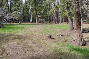 6 County Road 1007 --, Greer, AZ 85927 - Photo 12