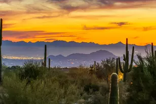 29125 N 114th St, Scottsdale, AZ 85262 - Photo 34