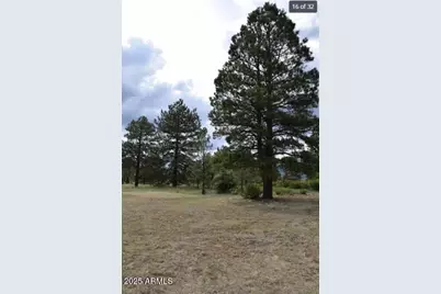 13957 E Wild Bill Road, Parks, AZ 86018 - Photo 12