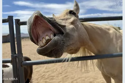 23851 W Tether Trail, Wittmann, AZ 85361 - Photo 48