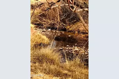 Lot 95 River Springs Ranch -- #095, Saint Johns, AZ 85936 - Photo 12