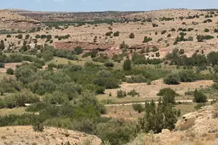 Lot 95 River Springs Ranch --, Saint Johns, AZ 85936 - Photo 1