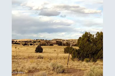 Lot 95 River Springs Ranch -- #095, Saint Johns, AZ 85936 - Photo 26