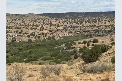 Lot 95 River Springs Ranch -- #095, Saint Johns, AZ 85936 - Photo 10