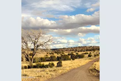 Lot 95 River Springs Ranch -- #095, Saint Johns, AZ 85936 - Photo 22