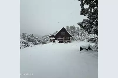 6475 E Paymaster Lane, Crown King, AZ 86343 - Photo 12