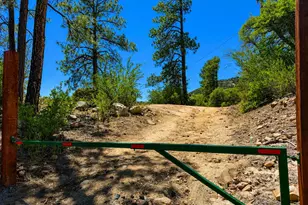 6475 E Paymaster Ln, Crown King, AZ 86343 - Photo 22