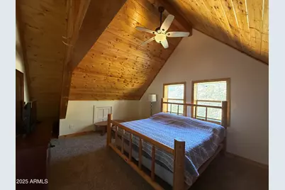 6475 E Paymaster Lane, Crown King, AZ 86343 - Photo 24