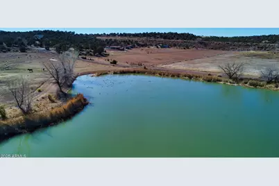 2249 Az-77 --, Show Low, AZ 85901 - Photo 22