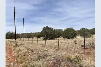 30386 W Basconia Road #4394, Seligman, AZ 86337 - Photo 4