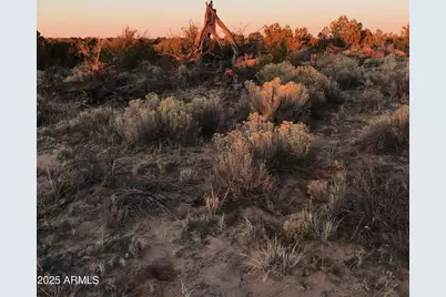 9 County Road N7340 -- #14, Saint Johns, AZ 85936 - Photo 10