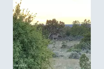 9 County Road N7340 -- #14, Saint Johns, AZ 85936 - Photo 22