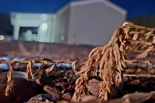 44973 N Az Hwy 188 --, Tonto Basin, AZ 85553 - Photo 40