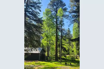 6 County #1007 Road, Greer, AZ 85927 - Photo 16