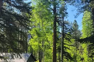 6 County Rd #1007, Greer, AZ 85927 - Photo 16