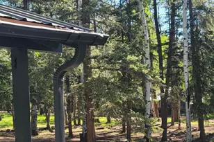 6 County Rd #1007, Greer, AZ 85927 - Photo 24