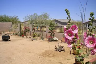 1452 W Sheep Wash Way, Benson, AZ 85602 - Photo 28