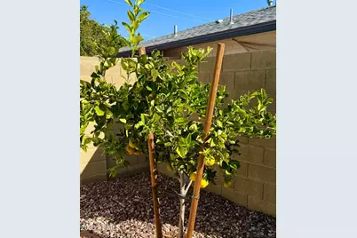 6702 E Monte Vista Road, Scottsdale, AZ 85257 - Photo 34