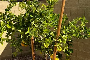 6702 E Monte Vista Rd, Scottsdale, AZ 85257 - Photo 34