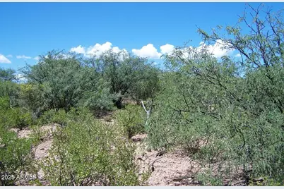 Tbd E Lincoln Road #-, Huachuca City, AZ 85616 - Photo 10