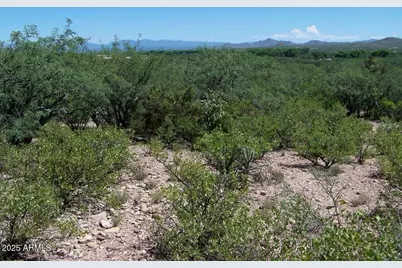 Tbd E Lincoln Road #-, Huachuca City, AZ 85616 - Photo 14