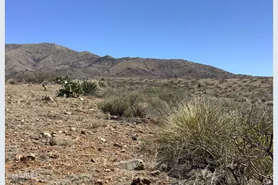 38.00Ac E Love Lane #53, Willcox, AZ 85643 - Photo 12