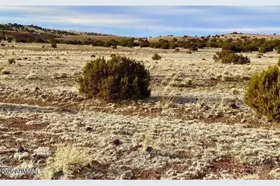 Tbd Co Rd 5201 1.22 Acres -- #-, Concho, AZ 85924 - Photo 14