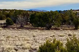 Tbd Co Rd 5201 1 22 Acres --, Concho, AZ 85924 - Photo 1