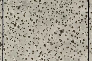 0 W Taurus Ave, Eloy, AZ 85131 - Photo 1