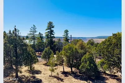 5661 Cougar Drive, Happy Jack, AZ 86024 - Photo 28