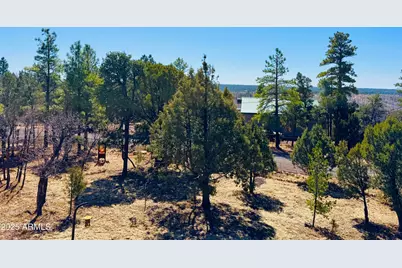 5661 Cougar Drive, Happy Jack, AZ 86024 - Photo 2