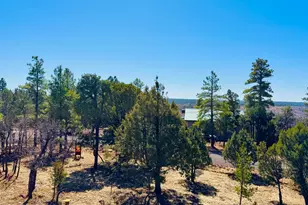 5661 Cougar Dr, Happy Jack, AZ 86024 - Photo 2