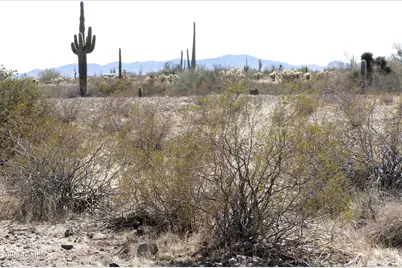 331Xxx W Cloud Road W #32, Wittmann, AZ 85361 - Photo 8