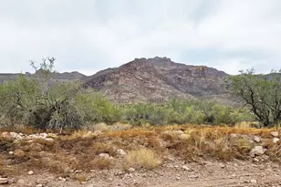 2669 S Southfork Ranch Rd, Gold Canyon, AZ 85118 - Photo 4