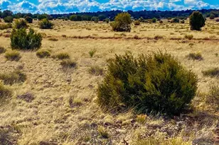 Tbd Hyde Park Rd 10 Acres --, Seligman, AZ 86337 - Photo 1