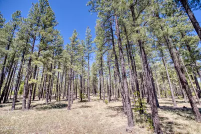 9586 Sierra Springs Way #7, Pinetop, AZ 85935 - Photo 4