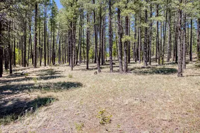9586 Sierra Springs Way #7, Pinetop, AZ 85935 - Photo 8