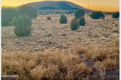 Tbd Co Rd 5106 -- #-, Concho, AZ 85924 - Photo 1