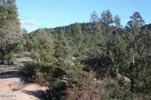 3103 S Monument Peak, Payson, AZ 85541 - Photo 1