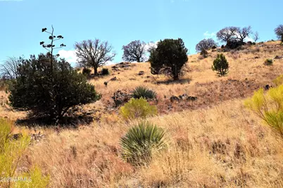 Lot 009P S One More Road -- #-, Hereford, AZ 85615 - Photo 4