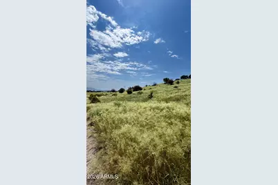 Lot 009P S One More Road -- #-, Hereford, AZ 85615 - Photo 14