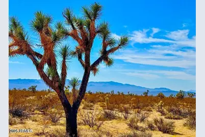 Tbd Apex  1.07 Acres Road #-, Yucca, AZ 86438 - Photo 1