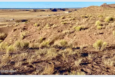 Carrizo Ranch Lot 297 41.17 Acres -- #-, Concho, AZ 85924 - Photo 26