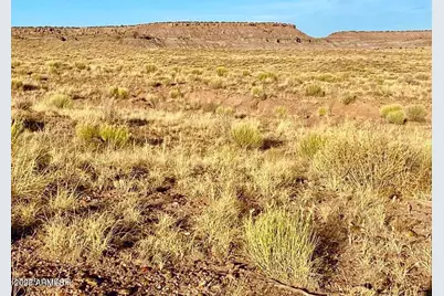 Carrizo Ranch Lot 297 41.17 Acres -- #-, Concho, AZ 85924 - Photo 6