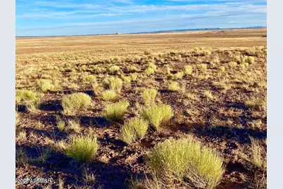 Carrizo Ranch Lot 297 41.17 Acres -- #-, Concho, AZ 85924 - Photo 16