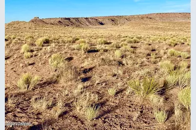 Carrizo Ranch Lot 297 41.17 Acres -- #-, Concho, AZ 85924 - Photo 28