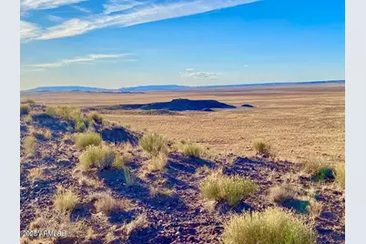 Carrizo Ranch Lot 297 41.17 Acres -- #-, Concho, AZ 85924 - Photo 24