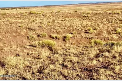 Carrizo Ranch Lot 297 41.17 Acres -- #-, Concho, AZ 85924 - Photo 12